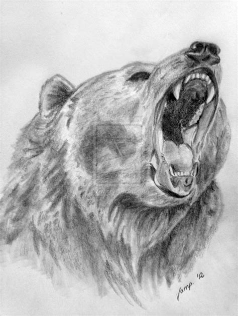 25+ best ideas about Bear Drawing on Pinterest | Bear sketch, Bear ...