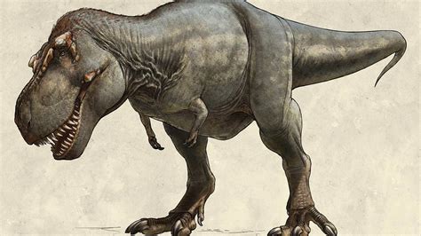 T. Rex’s eye evolved to deal with bite force | Dinosaur News