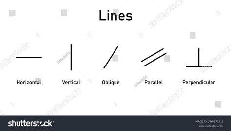 Types Lines Mathematics Horizontal Vertical Oblique Stock Vector ...