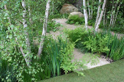 13 Hoggin path ideas | garden design, paths, garden paths