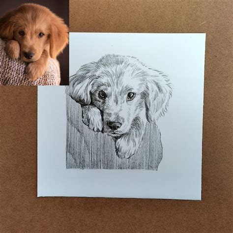 Personalised Pet Sketch Custom Animal Drawing Dog Portrait - Etsy