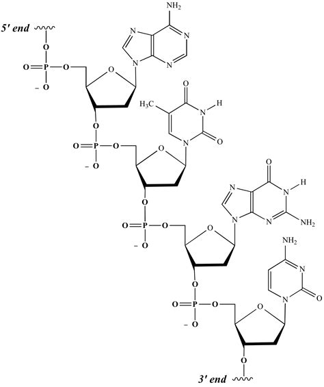 Illustrated Glossary of Organic Chemistry - Nucleotide