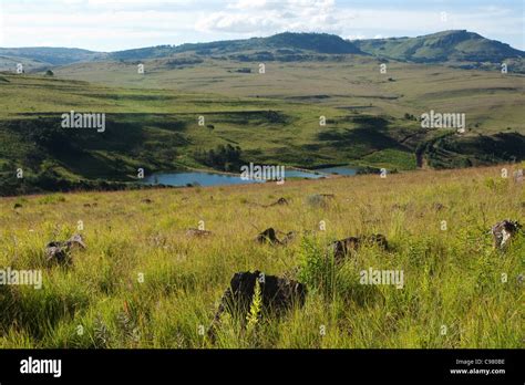 Highveld grassland scenery Stock Photo - Alamy