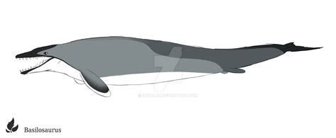 Basilosaurus by zavraan on DeviantArt