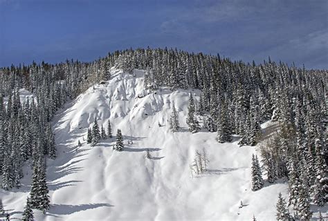 Winter on Vail Pass Colorado Photograph by Brendan Reals - Fine Art America