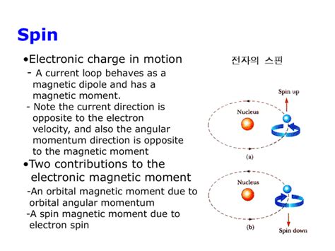 Electronic Magnetic Moments