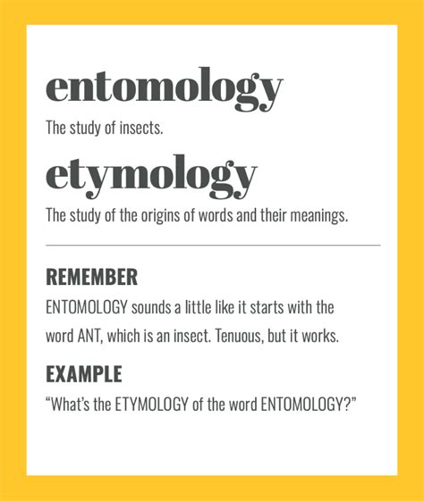 Etymology vs entomology: easy ways to remember the difference - Sarah ...