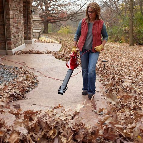 Toro Electric Leaf Blower Vac Mulcher 250 MPH 350 CFM 12 Amp ...