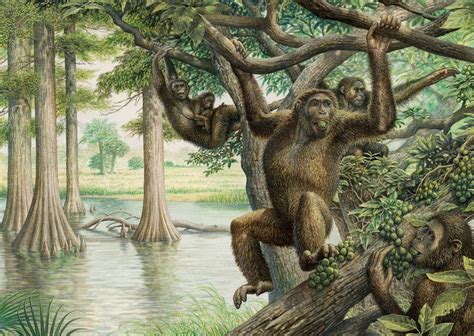 Arriba 38+ imagen when did primates appear in the fossil record ...