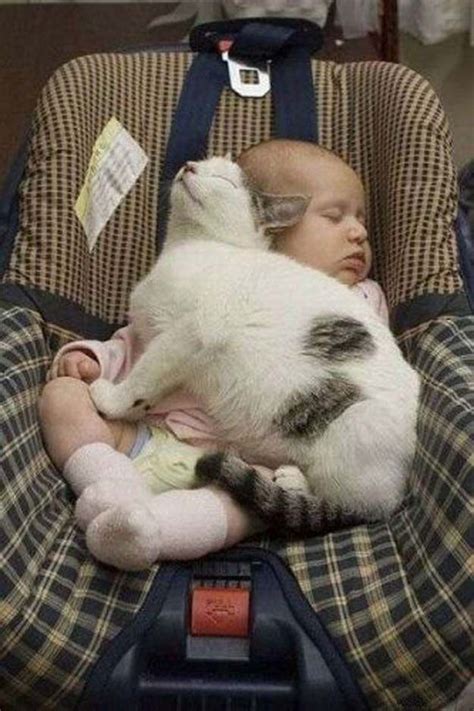 Babies and Cats Being Too Cute (25 pics) - Izismile.com