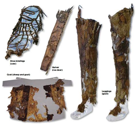 Otzi's (5,300 year old ice mummy) clothing, assembled from five ...