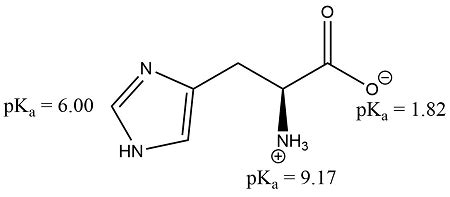 1. Draw the structure of L-Histidine, showing each ionizable group in ...