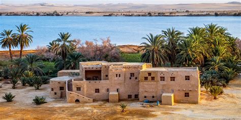 Siwa Oasis - Siwa Oasis Location - Siwa Oasis Wildlife - Siwa Oasis History