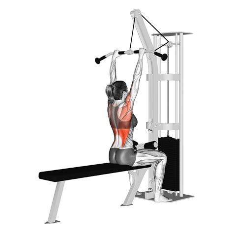 Wide Grip Lat Pulldown Muscles Worked