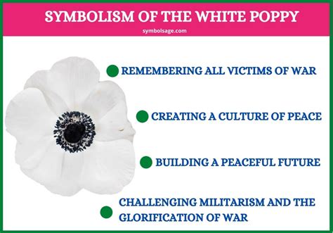 White Poppy – Symbolism and Meaning - Symbol Sage