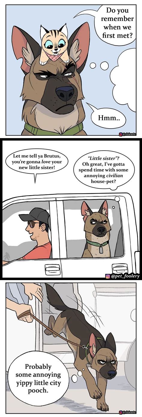 'Pixie & Brutus' Comic Creator Adds 18 New Strips To Adorable Instagram ...