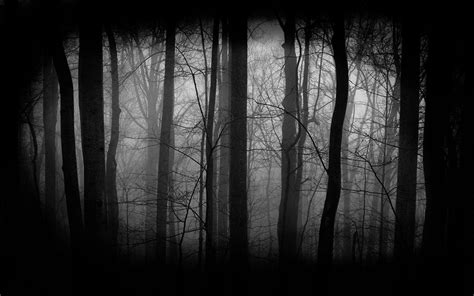 Beautiful Dark Forest Wallpapers - Top Free Beautiful Dark Forest ...