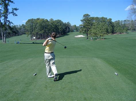 8th Hole at Augusta National: Yellow Jasmine