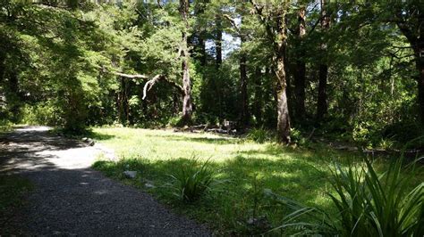 Donnelly Flat Loop Walk: Tararua Forest Park, Wairarapa region