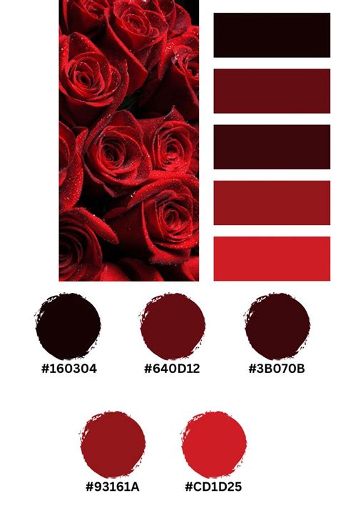 the color scheme for red roses