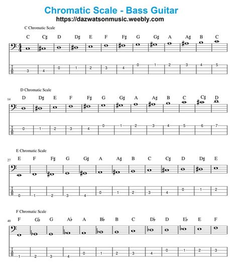 chromatic scale for bass guitar | Bass guitar, Bass, Bass guitar tabs