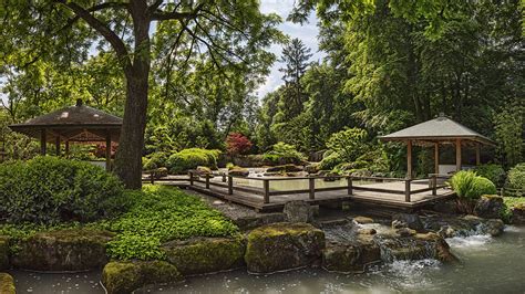 Fotos von Deutschland Augsburg Botanical Garden Natur 1920x1080