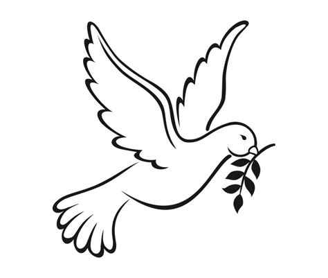 Dove Clipart Png Ideas | Bird drawings, Dove drawing, Dove outline