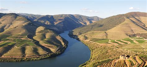 Douro River Cruise | Cruises | Cruises to the Douro River