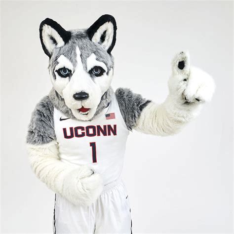 Vote for Jonathan the Husky as the "Best Mascot" for the WorldDogAwards ...