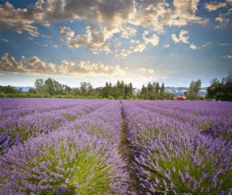 Provence’s luxury villas – Discover the tranquility of Provence