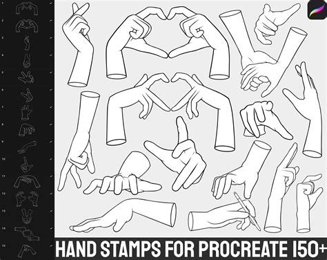 150 Procreate Hand Stamps Brushes Procreate Hands Anatomy - Etsy