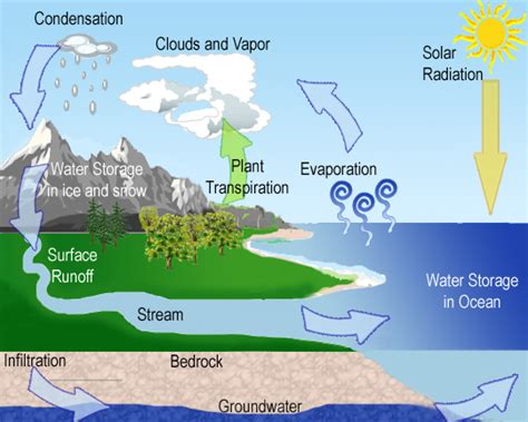 Condensation Of Water Cycle