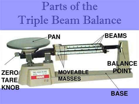 Parts Of A Beam Scale