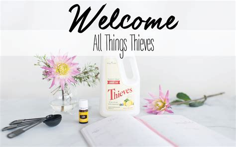 DIY Spring Cleaning Recipes | Naturally YL