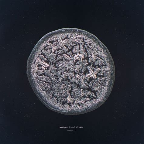 Fascinating Photos Reveal What Tears Look Like Under a Microscope ...