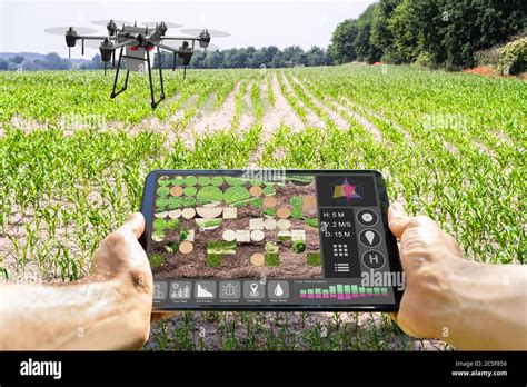 Modern Smart Farming Agriculture Technology At Farm Or Field Stock ...