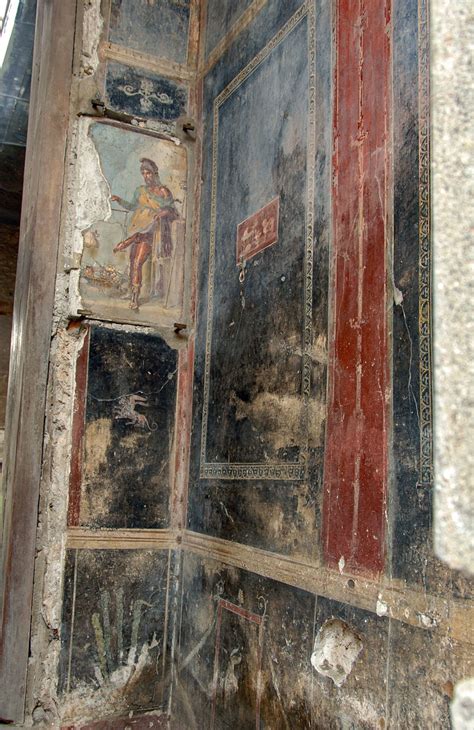 Fauces of the House of the Vettii: frescoes to the right of the ...