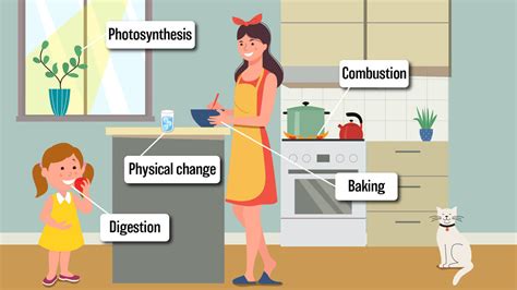 5 Examples Of Chemical Change With Explanation - Printable Templates Free