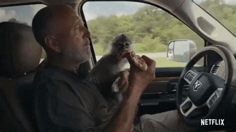 Yep, That's a Monkey Eating Pizza | Tiger King GIFs | POPSUGAR ...