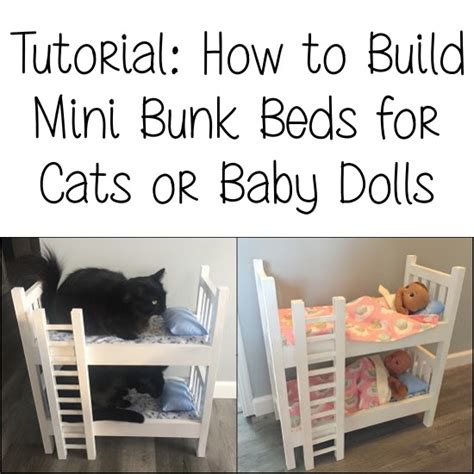 Runs for Cookies: How To Build Cat Bunk Beds (or Doll Bunk Beds)