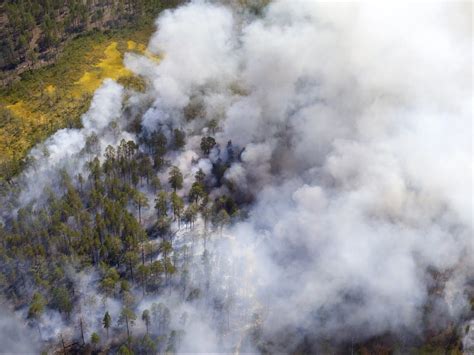 Wildfire Smoke: How It Impacts Air Quality and Your Health - Molekule