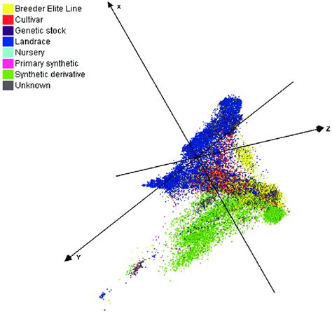 Diversity analysis of domesticated hexaploid accessions (from Sansaloni ...