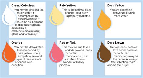 What does bright colored urine mean – The Meaning Of Color