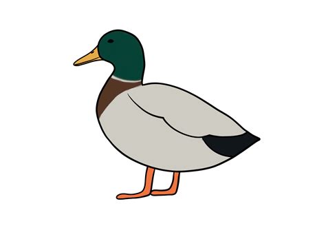 How to Draw a Duck | Design School