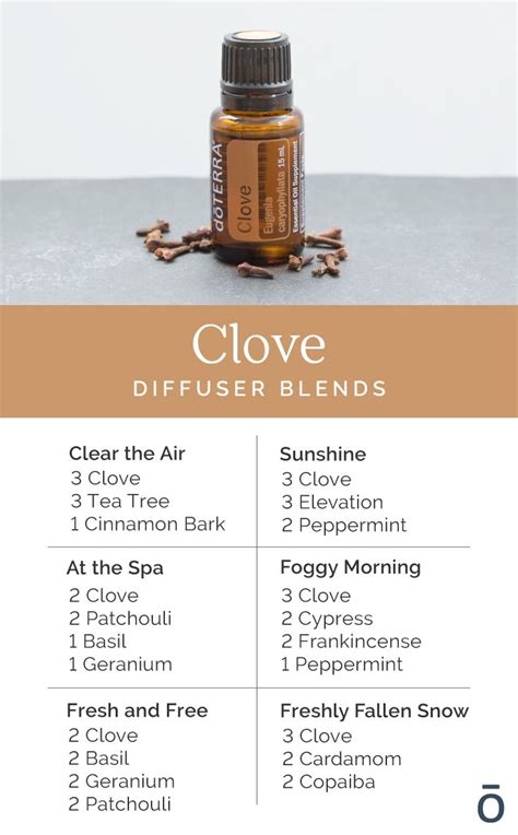 Clove Essential Oil Diffuser Blends | Essential oil diffuser blends ...