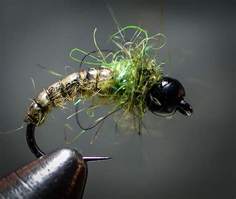 Caddis Competition Euro Nymph | Fly tying patterns, Fly tying, Nymph ...