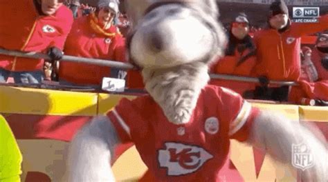 Kansas City Chiefs Chiefs Super Bowl GIF - Kansas City Chiefs Chiefs ...