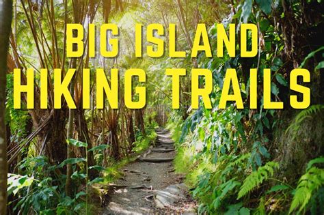 Hawaii Hiking Guide: Best Trails on the Big Island | Big Island Travel Blog