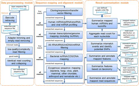 sRNAnalyzer – a flexible and customizable small RNA sequencing data ...