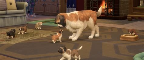 Sims 4 cats and dogs breeding and selling - dnatop